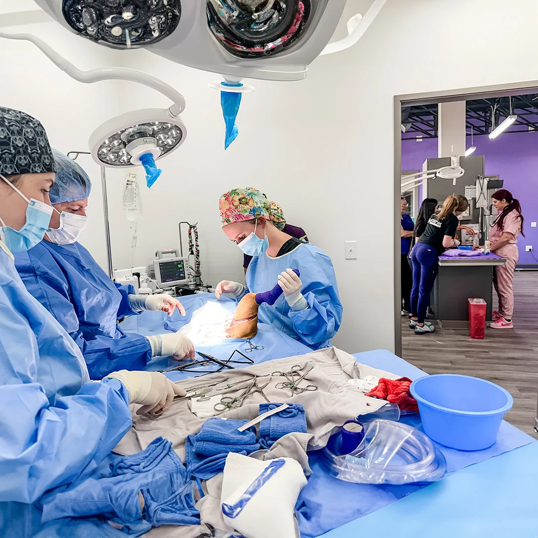 Veterinary surgeons performing a procedure in a sterile operating room while other team members work in the background.