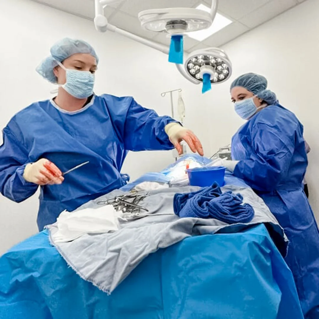 Veterinary surgeons performing a procedure in a fully equipped surgical room.