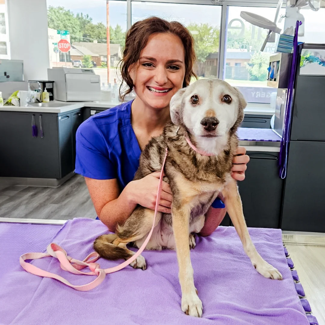 Veterinary technician smiling while gently holding a senior dog on an exam table.