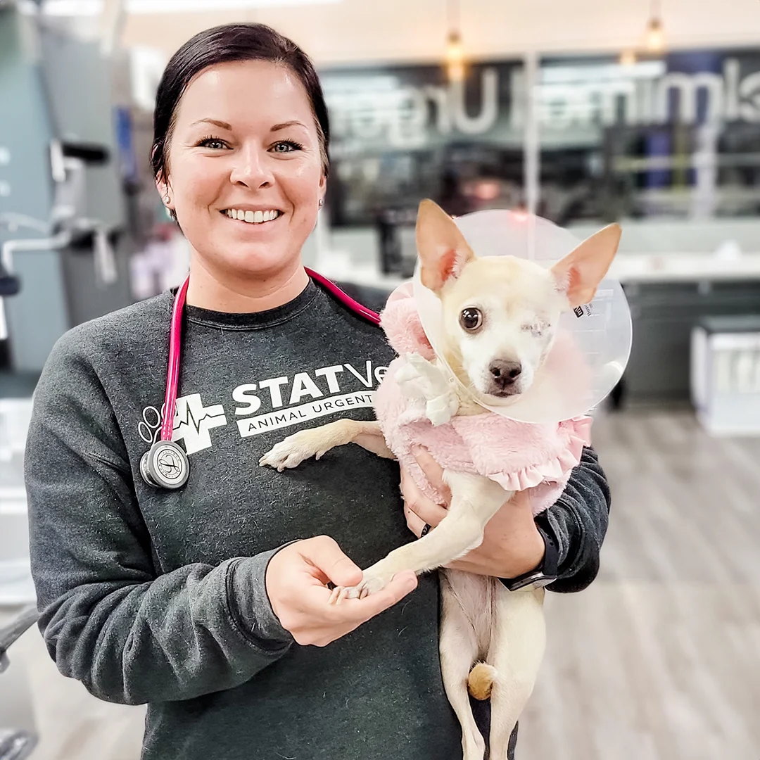 A vet is holding a dog wearing cone