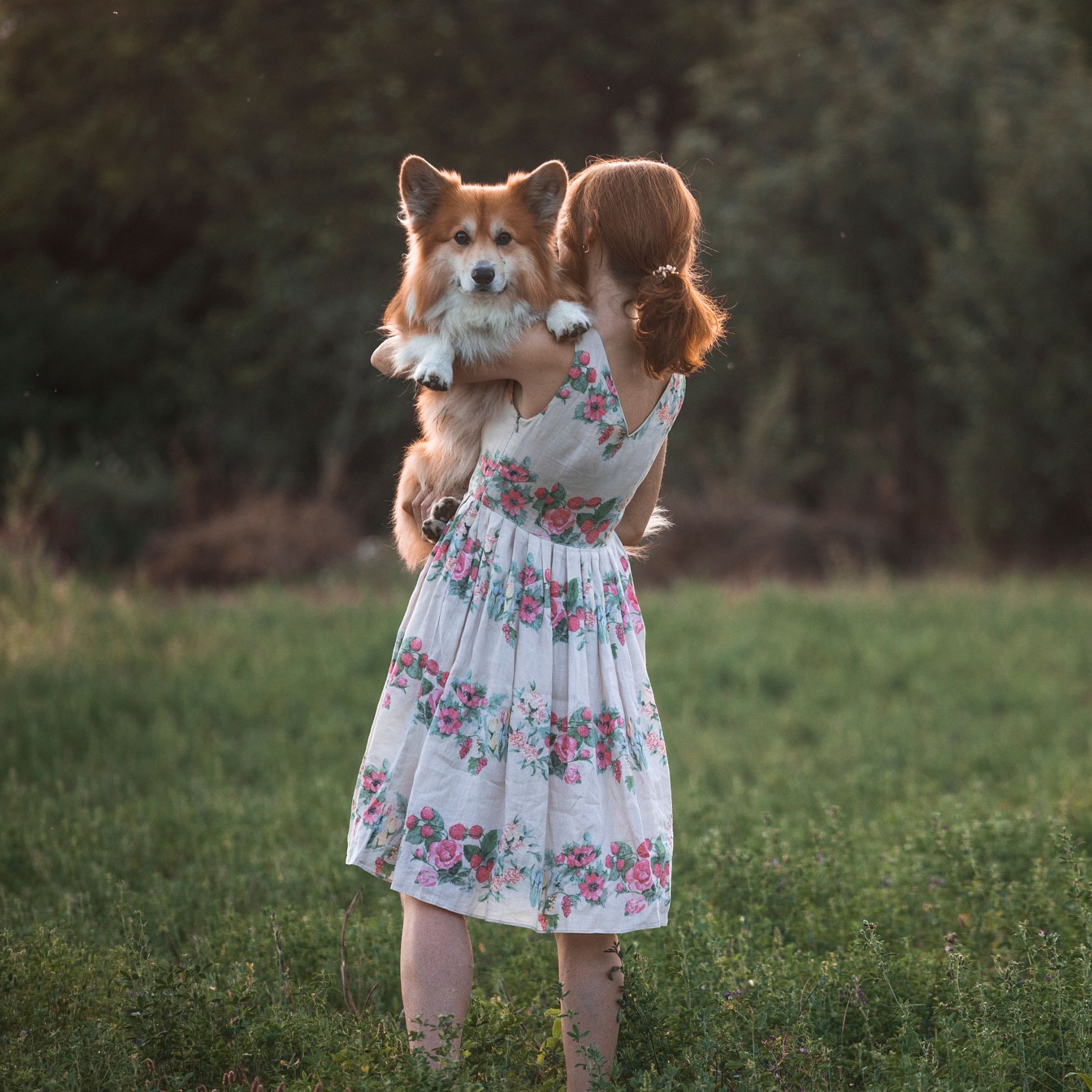 A Girl Holding a Corgi Dog