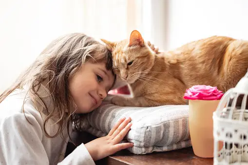 A girl is playing with cat