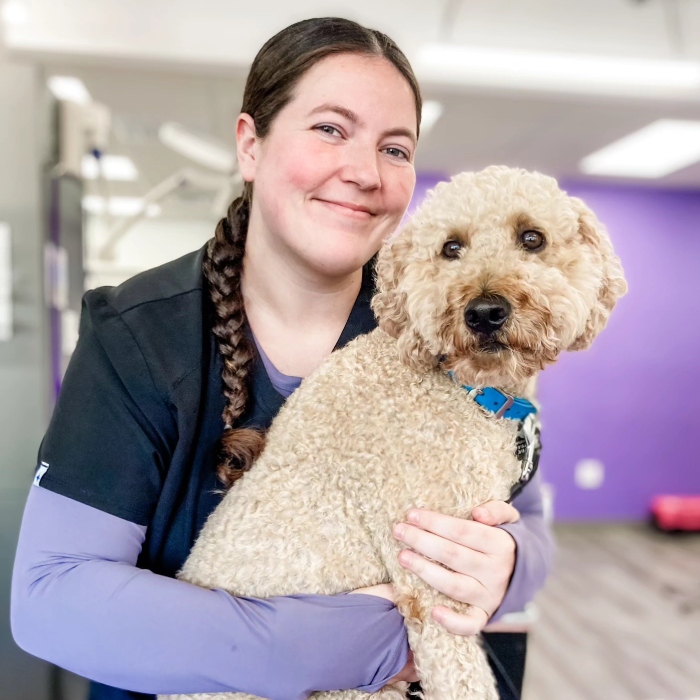 A vet is holding a dog