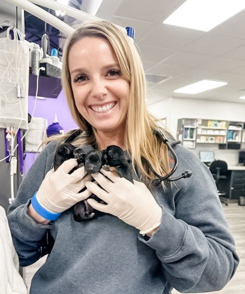 A vet is holding puppies