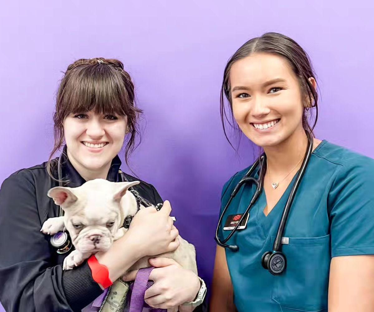 Vet and staff posing with a dog