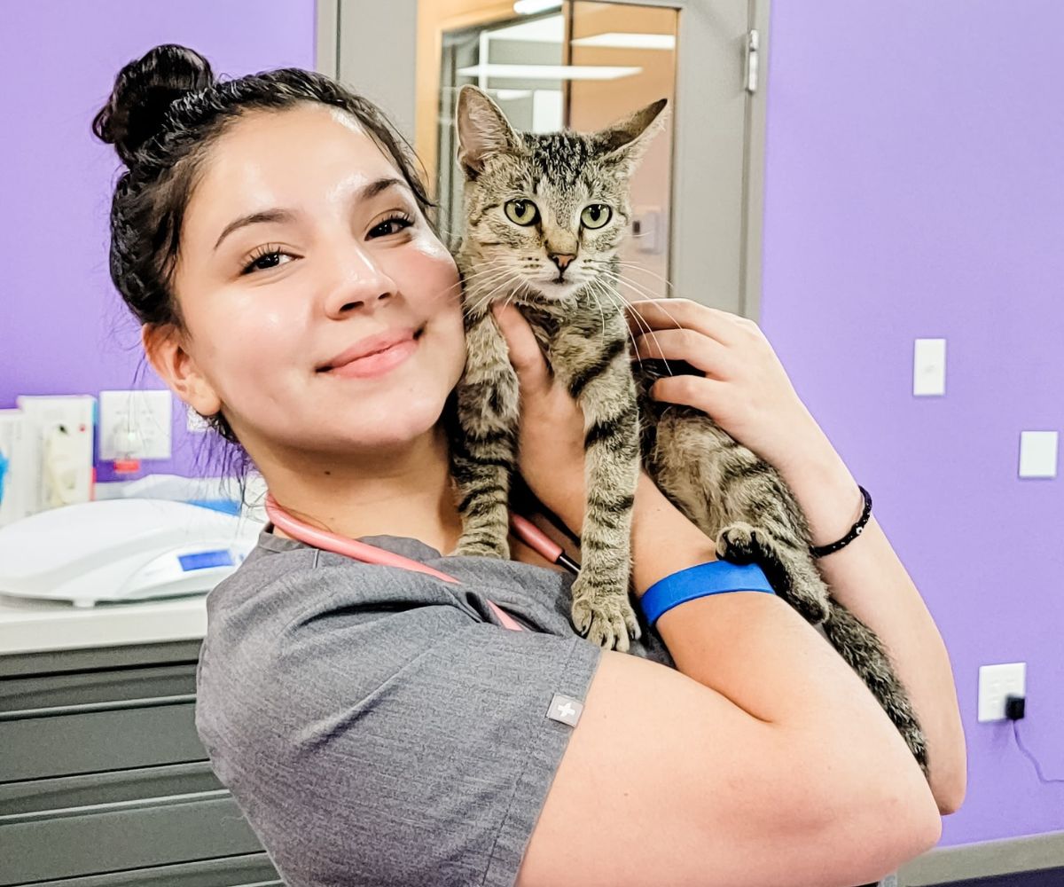 A vet technician holding a cat